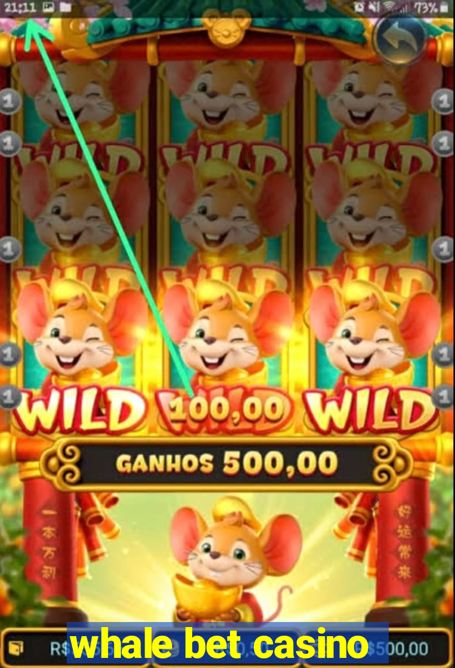 whale bet casino